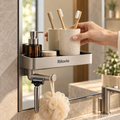 Rilovio MirrorDock Shelf & Hook